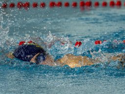 natation 10-min